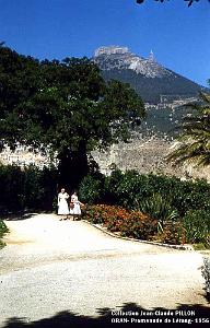 ORAN PROMENADE DE LETANG3-04-1956